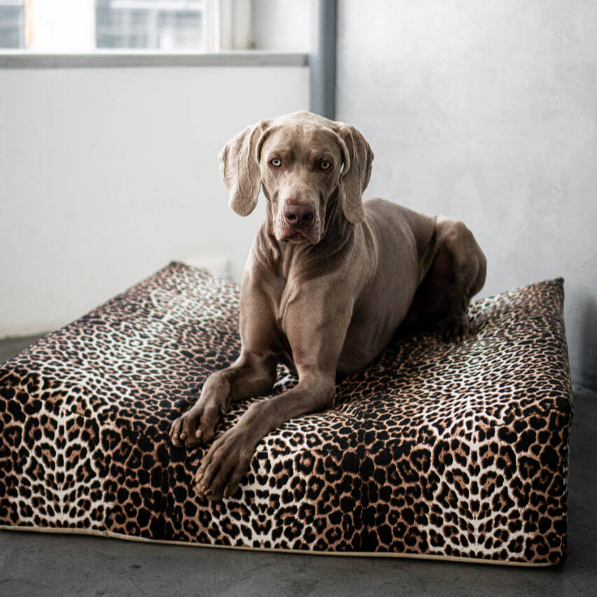 Собака в лежанке Chilldog Леопард
